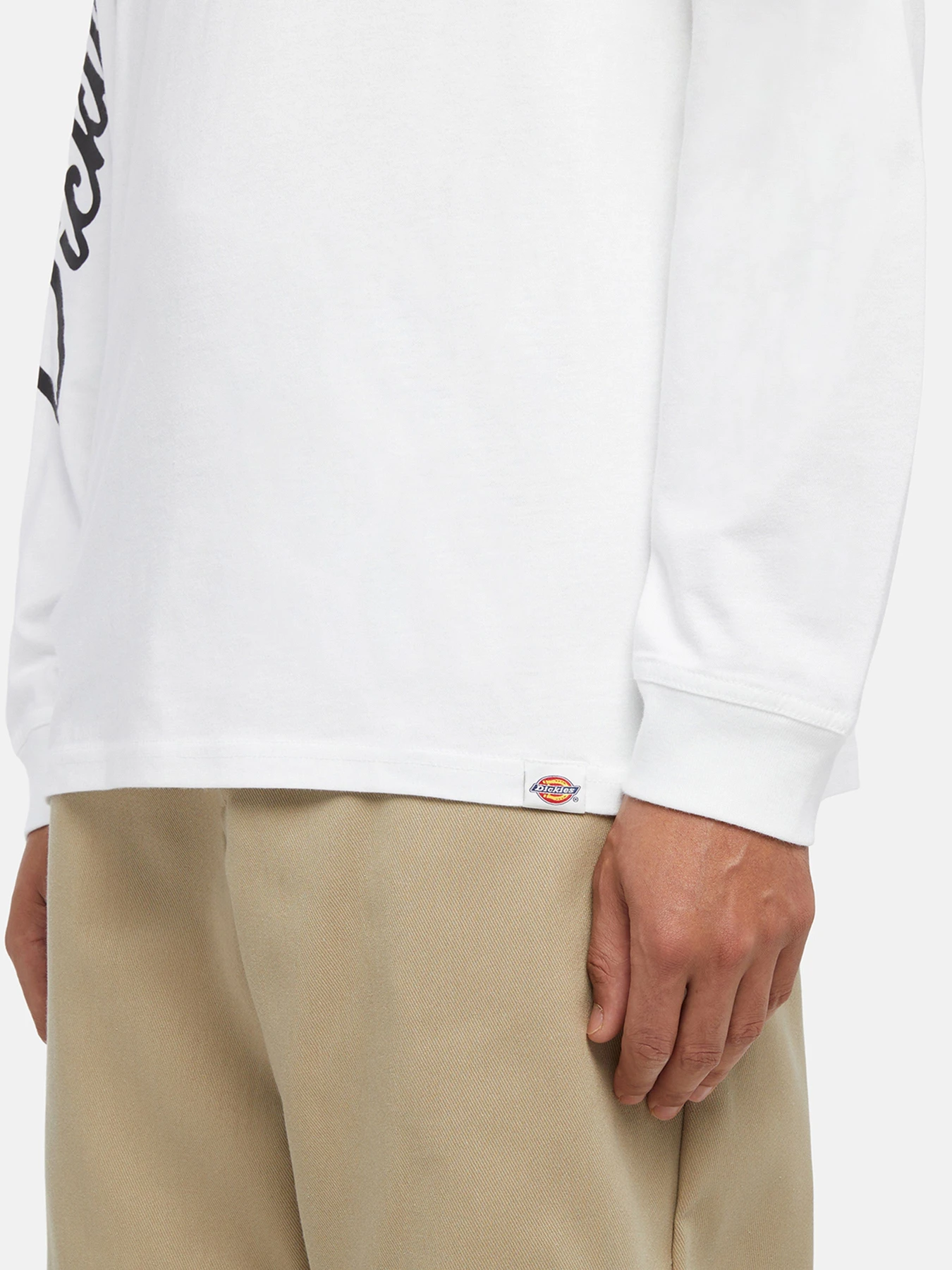 Худи и свитшоты Dickies Graphic модель DK0A85SW0WH1 Худи и свитшоты Dickies Graphic модель DK0A85SW0WH1 Фото