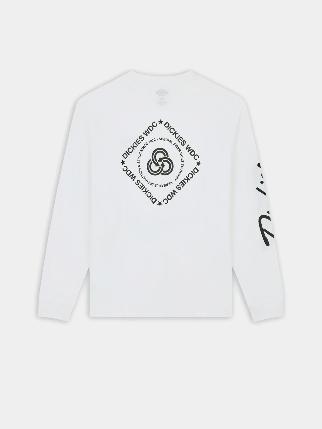 Худи и свитшоты Dickies Graphic модель DK0A85SW0WH1 Худи и свитшоты Dickies Graphic модель DK0A85SW0WH1 Фото