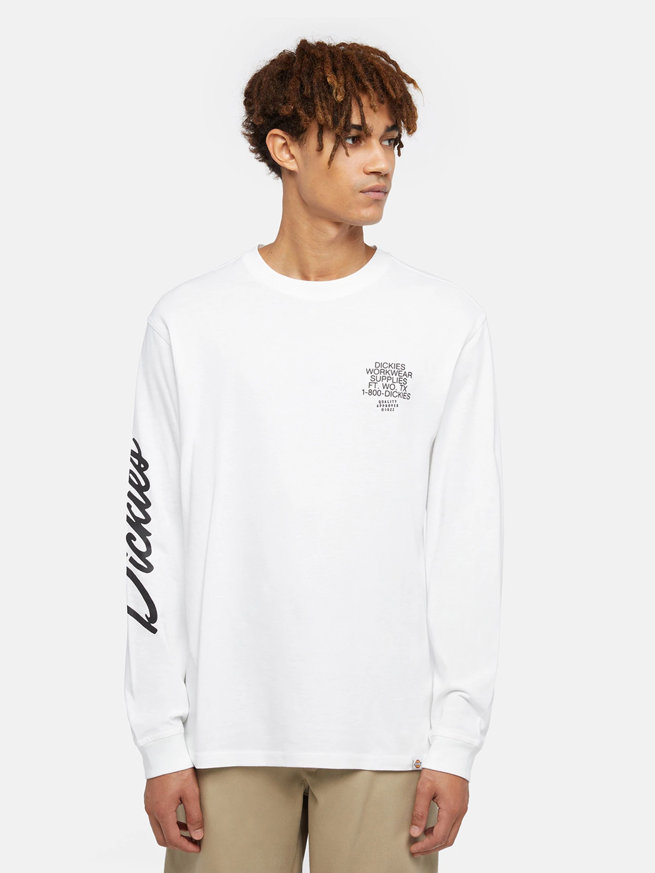 Худи и свитшоты Dickies Graphic модель DK0A85SW0WH1 Худи и свитшоты Dickies Graphic модель DK0A85SW0WH1 Фото