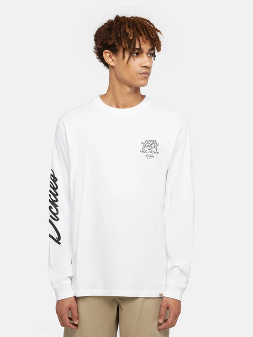 Худі та світшоти Dickies Graphic модель DK0A85SW0WH1 Фото