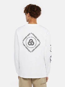 Худи и свитшоты Dickies Graphic модель DK0A85SW0WH1 Фото