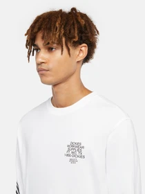 Худи и свитшоты Dickies Graphic модель DK0A85SW0WH1 Фото