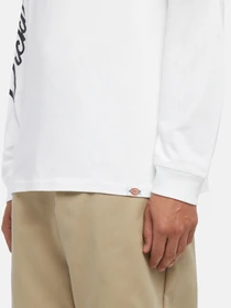 Худи и свитшоты Dickies Graphic модель DK0A85SW0WH1 Фото