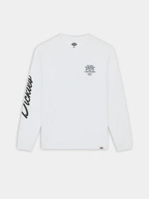 Худи и свитшоты Dickies Graphic модель DK0A85SW0WH1 Фото