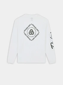 Худи и свитшоты Dickies Graphic модель DK0A85SW0WH1 Фото