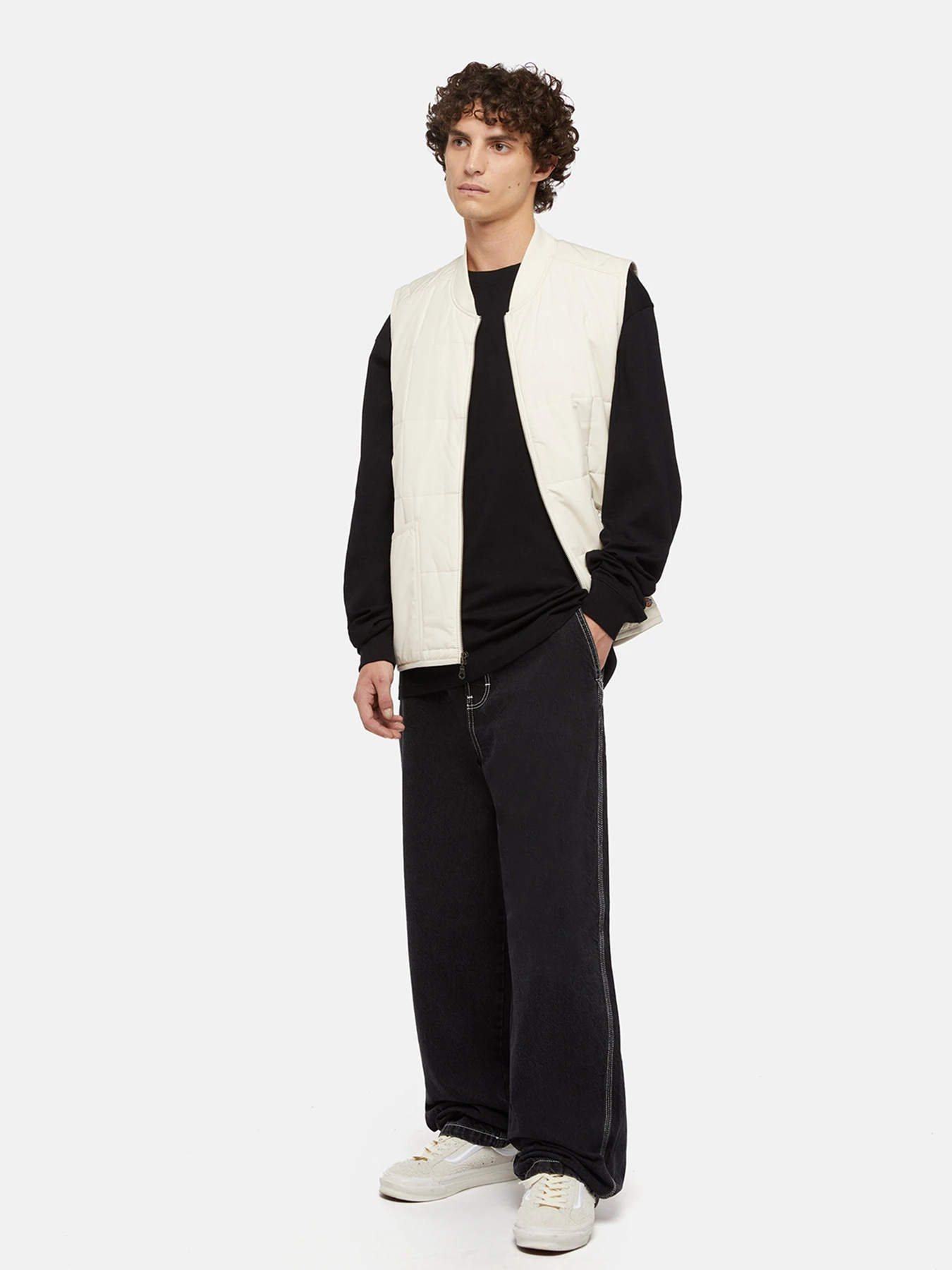 Худі та світшоти Dickies Industrial модель DK0A85SWBLK1 Худі та світшоти Dickies Industrial модель DK0A85SWBLK1 Фото