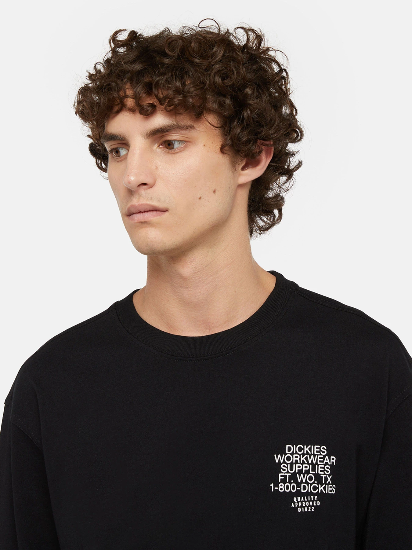 Худі та світшоти Dickies Industrial модель DK0A85SWBLK1 Худі та світшоти Dickies Industrial модель DK0A85SWBLK1 Фото