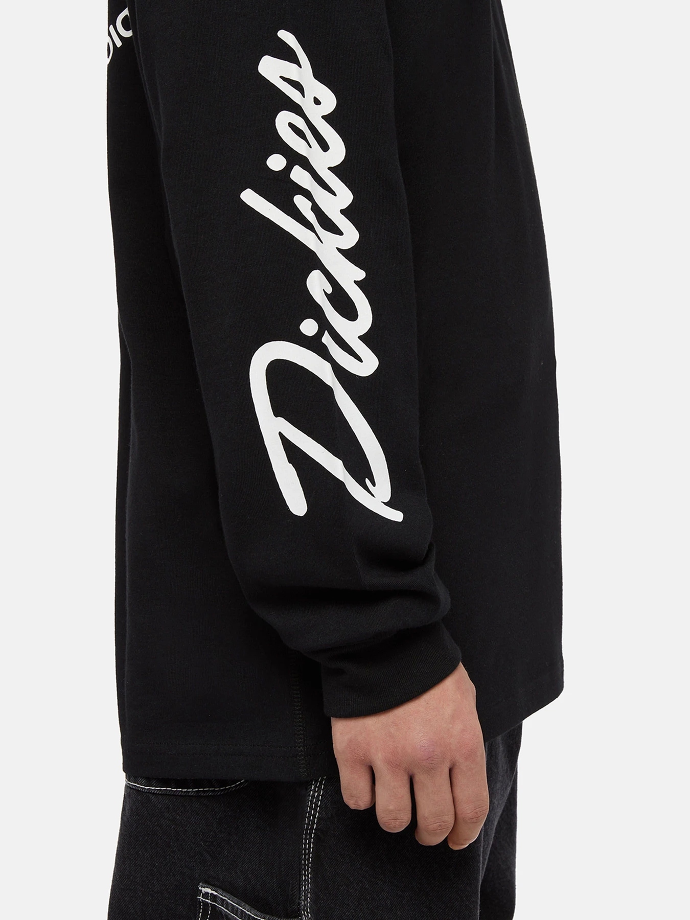 Худі та світшоти Dickies Industrial модель DK0A85SWBLK1 Худі та світшоти Dickies Industrial модель DK0A85SWBLK1 Фото