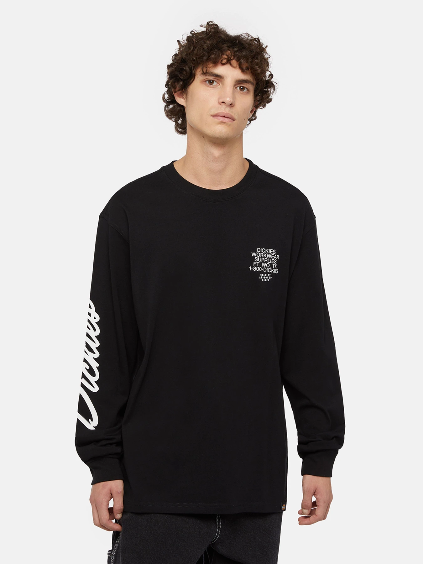 Худі та світшоти Dickies Industrial модель DK0A85SWBLK1 Худі та світшоти Dickies Industrial модель DK0A85SWBLK1 Фото