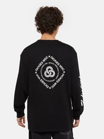 Худі та світшоти Dickies Industrial модель DK0A85SWBLK1 Фото