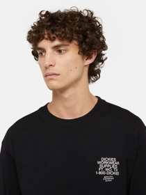 Худі та світшоти Dickies Industrial модель DK0A85SWBLK1 Фото