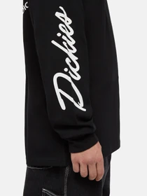 Худі та світшоти Dickies Industrial модель DK0A85SWBLK1 Фото