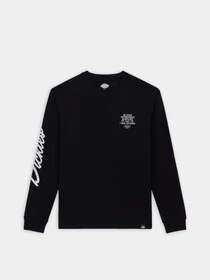 Худі та світшоти Dickies Industrial модель DK0A85SWBLK1 Фото