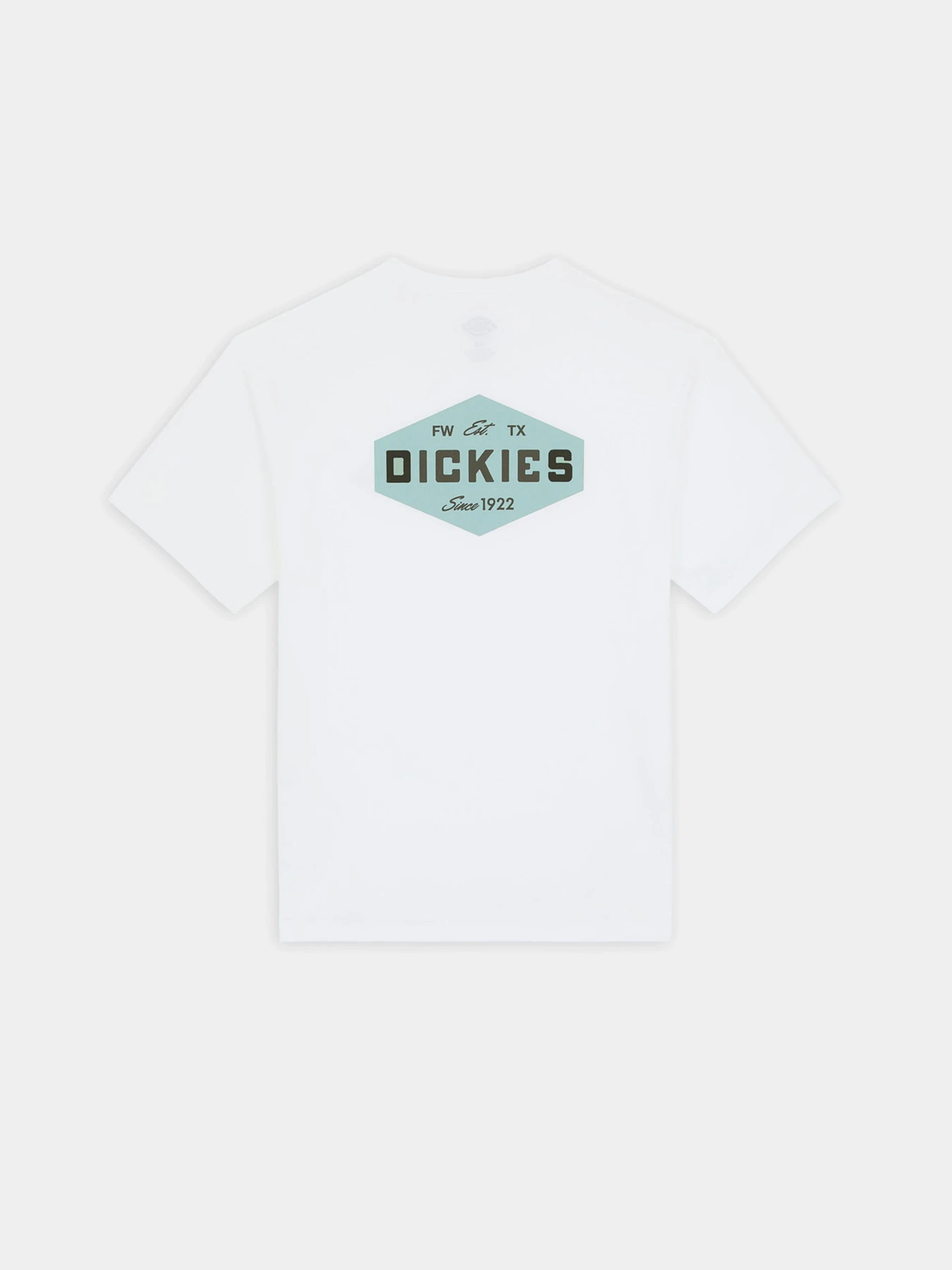 Футболки и поло Dickies Graphic модель DK0A863E0WH1 Фото