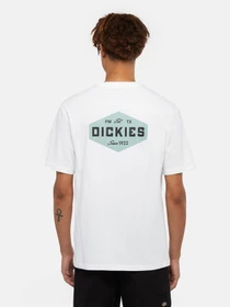 Футболки и поло Dickies Graphic модель DK0A863E0WH1 Фото