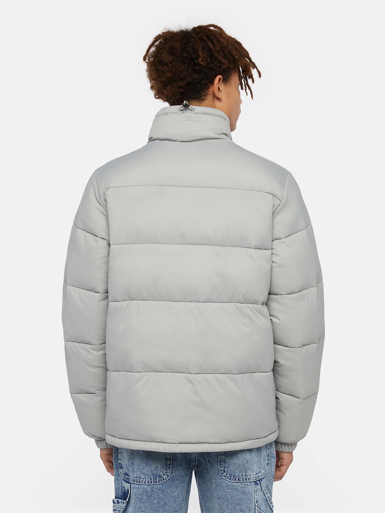 Куртки и дубленки Dickies Waldenburg модель DK0A4XP2D061 Куртки и дубленки Dickies Waldenburg модель DK0A4XP2D061 Фото