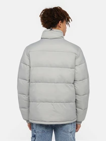 Куртки и дубленки Dickies Waldenburg модель DK0A4XP2D061 Фото