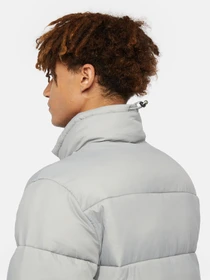 Куртки и дубленки Dickies Waldenburg модель DK0A4XP2D061 Фото