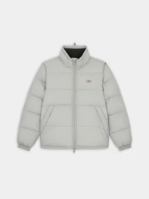 Куртки и дубленки Dickies Waldenburg модель DK0A4XP2D061 Фото
