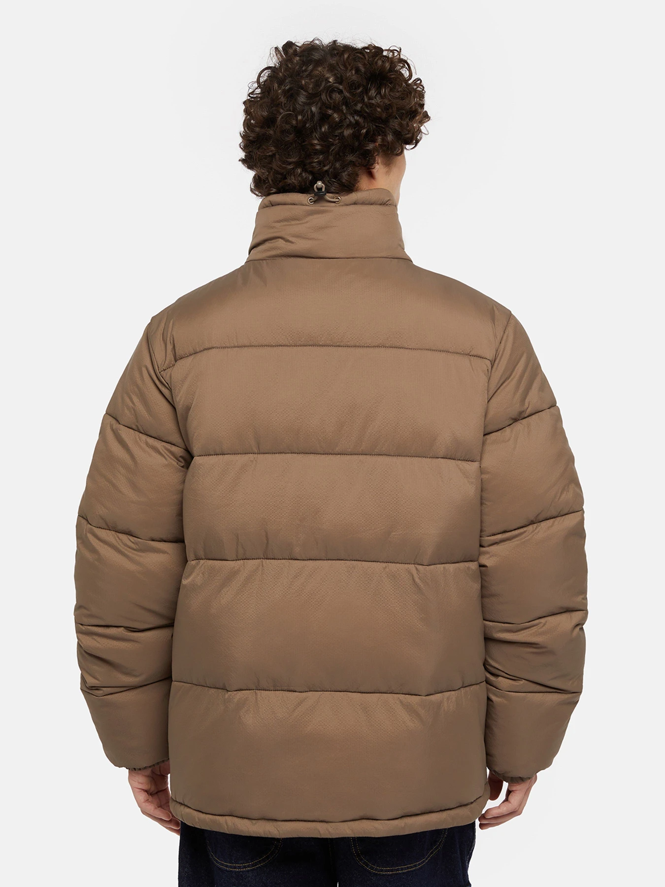 Куртки и дубленки Dickies Waldenburg модель DK0A4XP2MR11 Фото