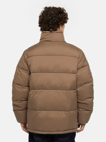 Куртки и дубленки Dickies Waldenburg модель DK0A4XP2MR11 Фото