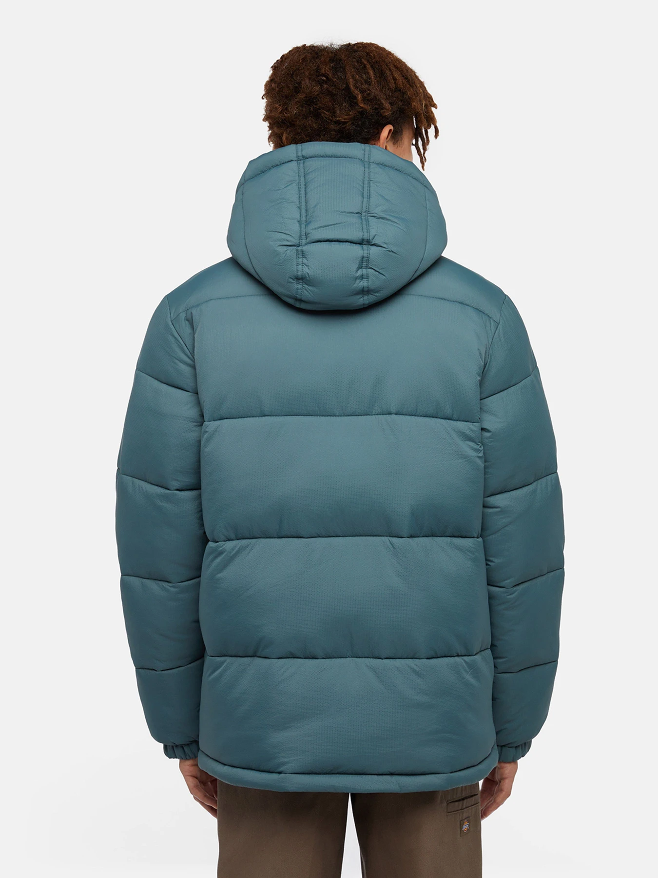 Куртки и дубленки Dickies Waldenburg модель DK0A4YEY0LN1 Куртки и дубленки Dickies Waldenburg модель DK0A4YEY0LN1 Фото