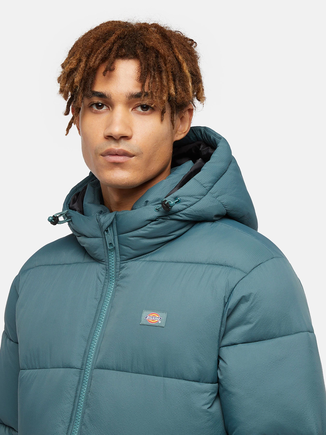 Куртки и дубленки Dickies Waldenburg модель DK0A4YEY0LN1 Куртки и дубленки Dickies Waldenburg модель DK0A4YEY0LN1 Фото