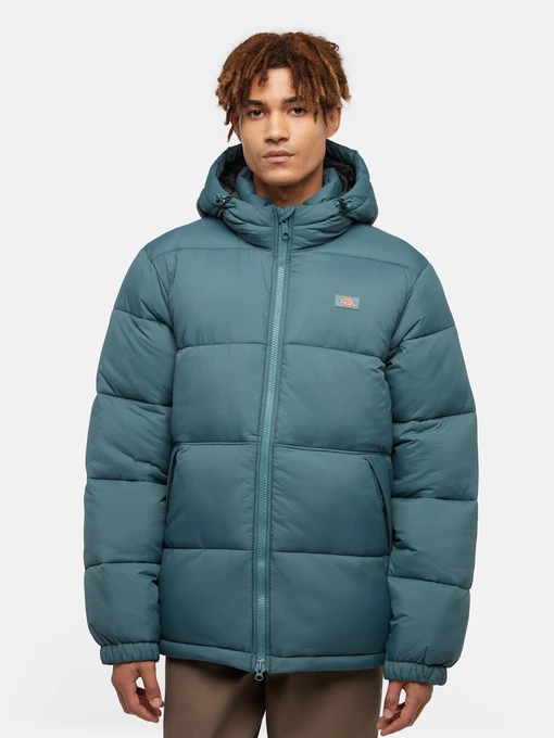 Куртки и дубленки Dickies Waldenburg модель DK0A4YEY0LN1 Фото