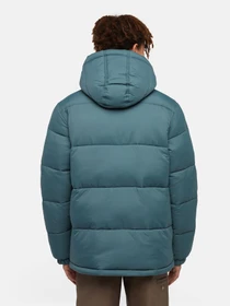 Куртки и дубленки Dickies Waldenburg модель DK0A4YEY0LN1 Фото