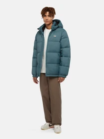 Куртки и дубленки Dickies Waldenburg модель DK0A4YEY0LN1 Фото