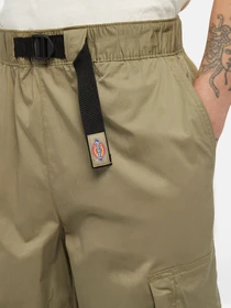 Брюки Dickies Flight Double Knee модель DK0A4Z370IP1 Фото