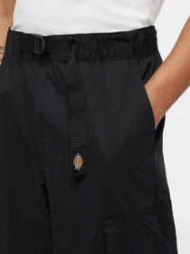 Штани Dickies Flight Double Knee модель DK0A4Z37BLK1 Фото