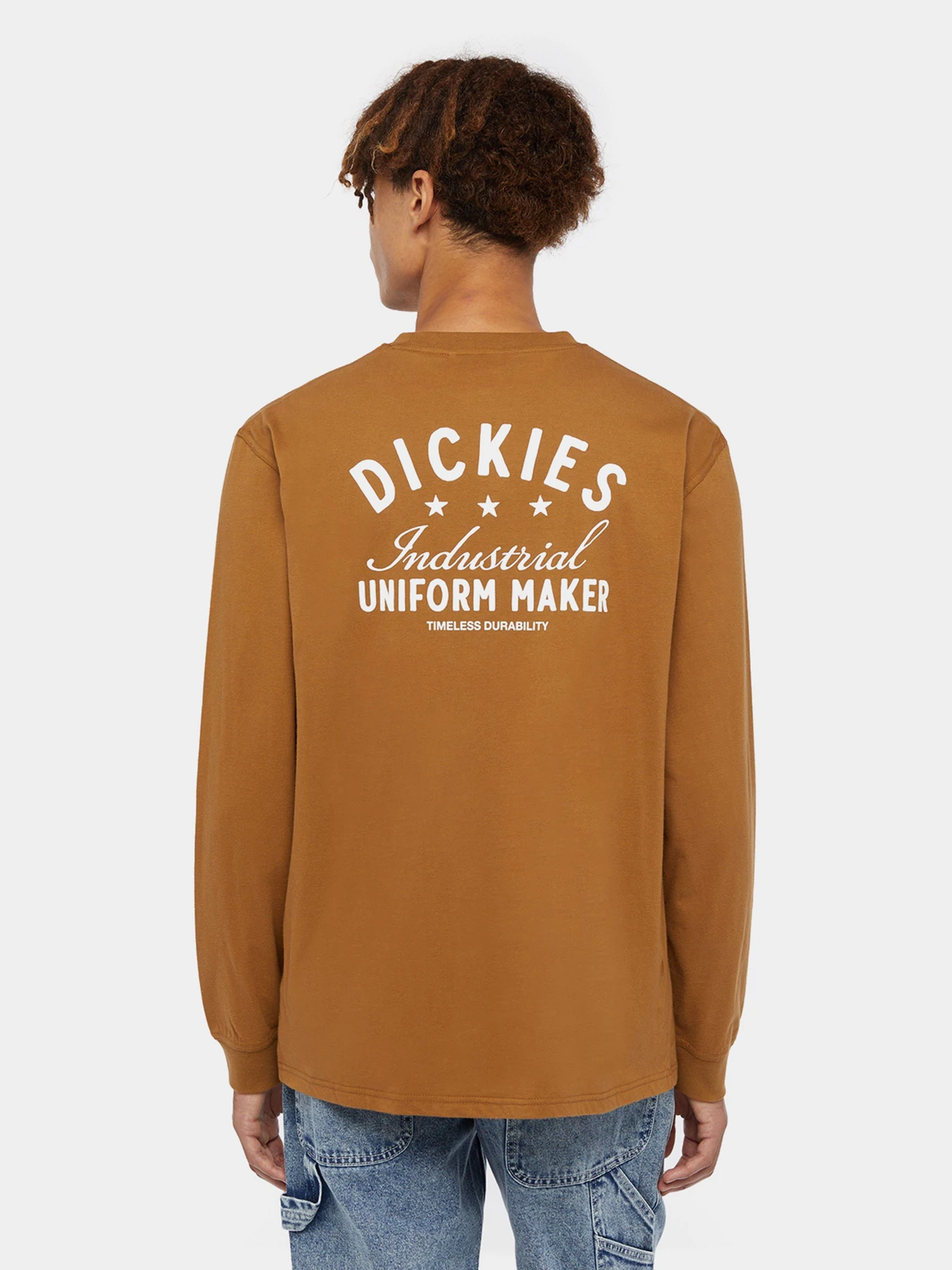 Худі та світшоти Dickies Trego модель DK0A4Z3O0BD1 Худі та світшоти Dickies Trego модель DK0A4Z3O0BD1 Фото