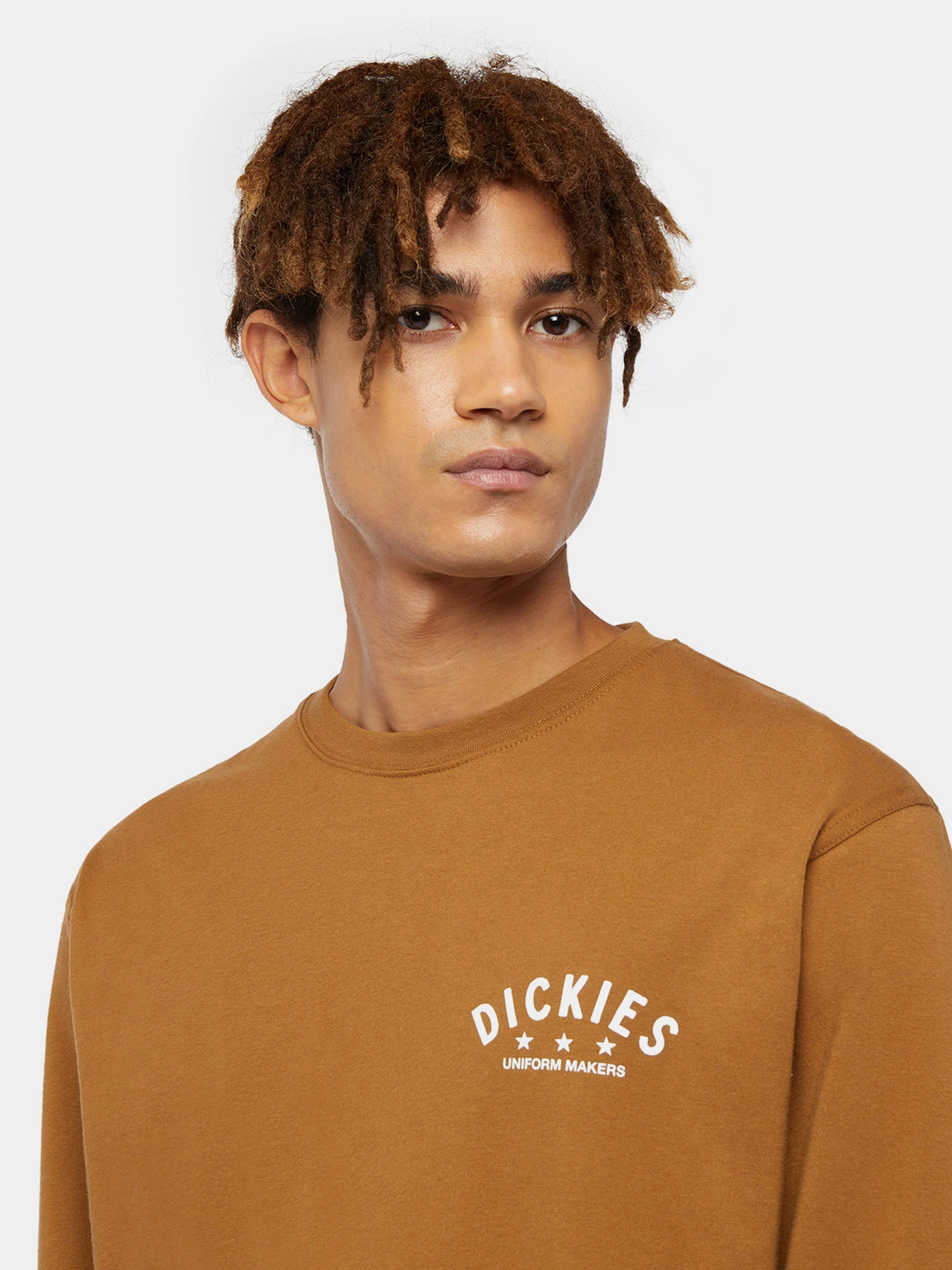 Худі та світшоти Dickies Trego модель DK0A4Z3O0BD1 Худі та світшоти Dickies Trego модель DK0A4Z3O0BD1 Фото