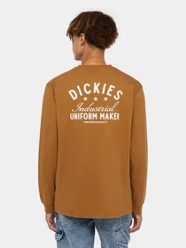 Худі та світшоти Dickies Trego модель DK0A4Z3O0BD1 Фото