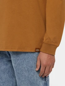 Худі та світшоти Dickies Trego модель DK0A4Z3O0BD1 Фото