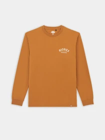 Худі та світшоти Dickies Trego модель DK0A4Z3O0BD1 Фото