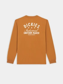 Худі та світшоти Dickies Trego модель DK0A4Z3O0BD1 Фото