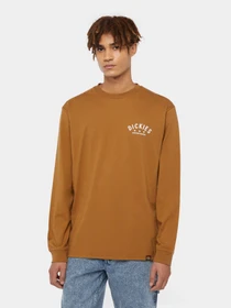 Худи и свитшоты Dickies Trego модель DK0A4Z3O0BD1 Фото