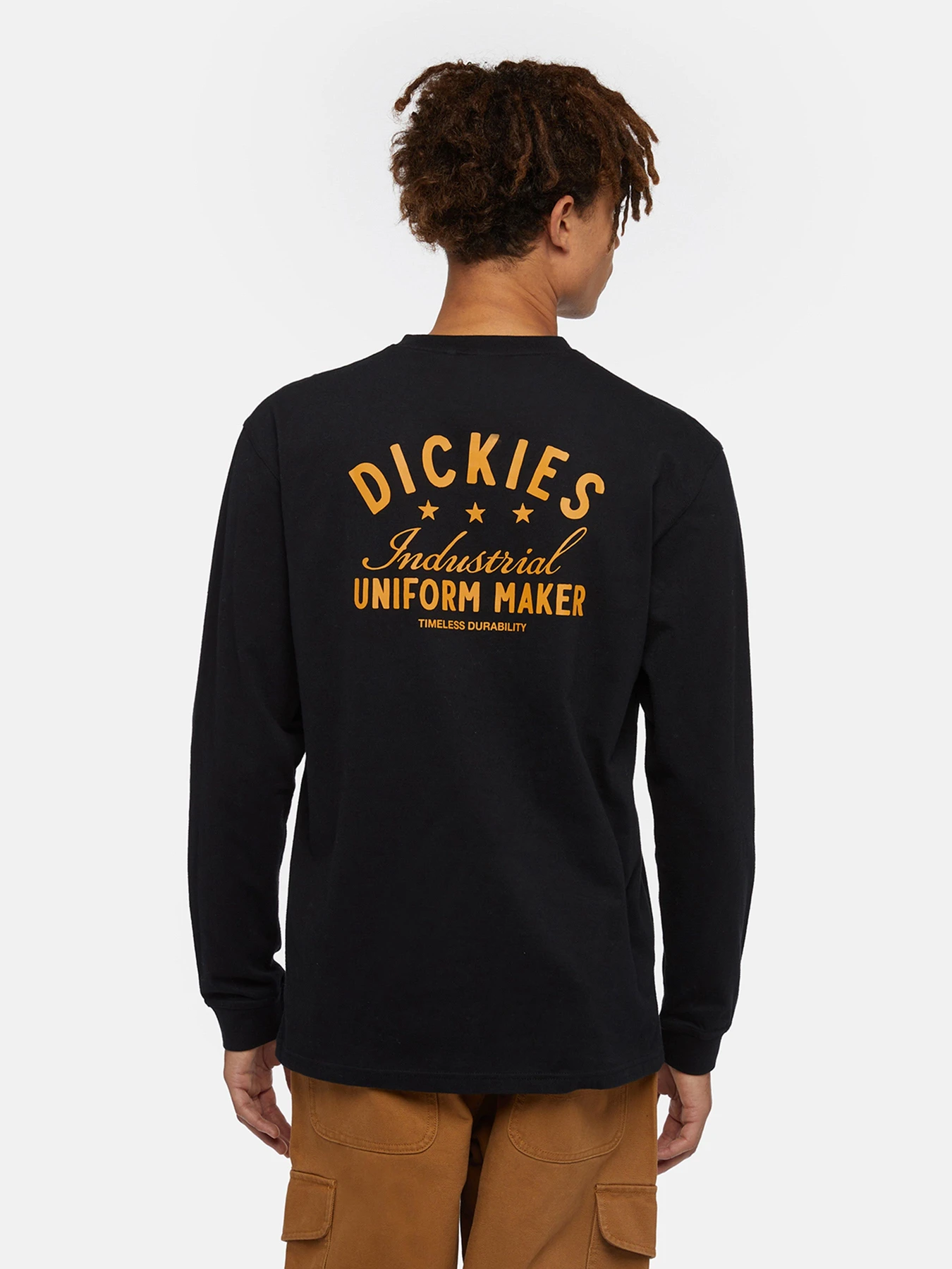 Худи и свитшоты Dickies Trego модель DK0A4Z3OBLK1 Фото