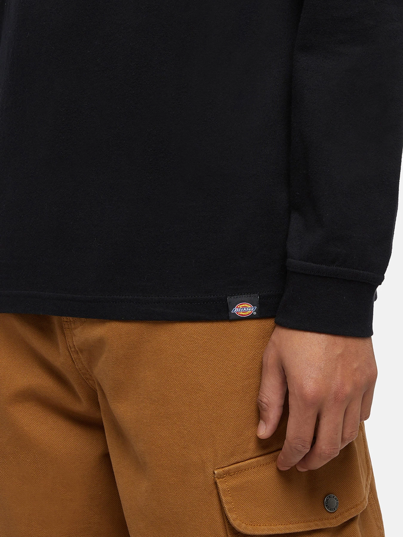 Худи и свитшоты Dickies Trego модель DK0A4Z3OBLK1 Фото