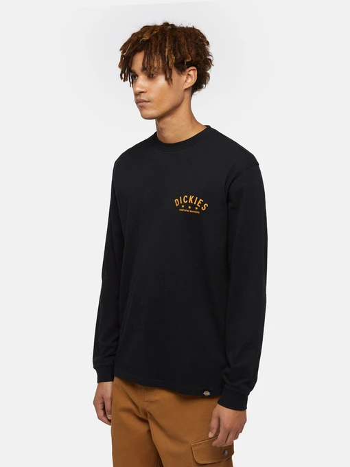 Худі та світшоти Dickies Trego модель DK0A4Z3OBLK1 Фото