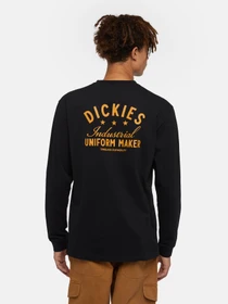 Худи и свитшоты Dickies Trego модель DK0A4Z3OBLK1 Фото
