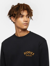 Худи и свитшоты Dickies Trego модель DK0A4Z3OBLK1 Фото