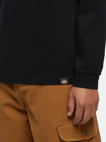 Худи и свитшоты Dickies Trego модель DK0A4Z3OBLK1 Фото