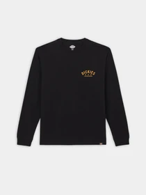 Худи и свитшоты Dickies Trego модель DK0A4Z3OBLK1 Фото