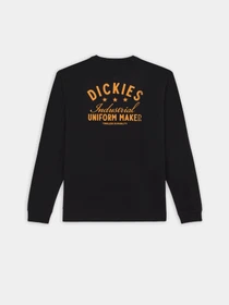 Худи и свитшоты Dickies Trego модель DK0A4Z3OBLK1 Фото