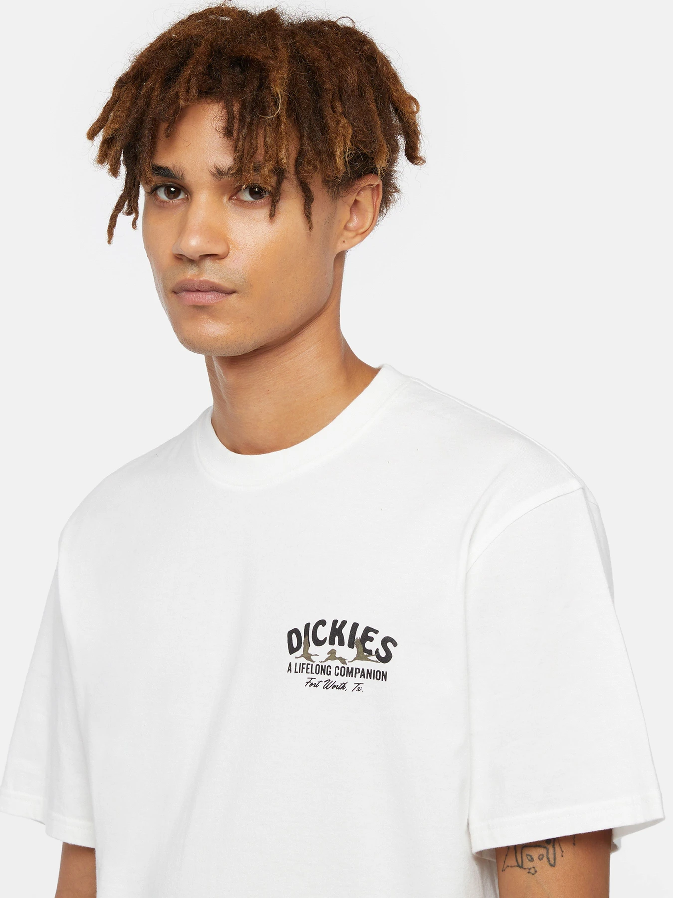 Футболки і поло Dickies Companion модель DK0A4Z3P0WH1 Футболки і поло Dickies Companion модель DK0A4Z3P0WH1 Фото