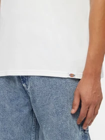 Футболки і поло Dickies Companion модель DK0A4Z3P0WH1 Фото