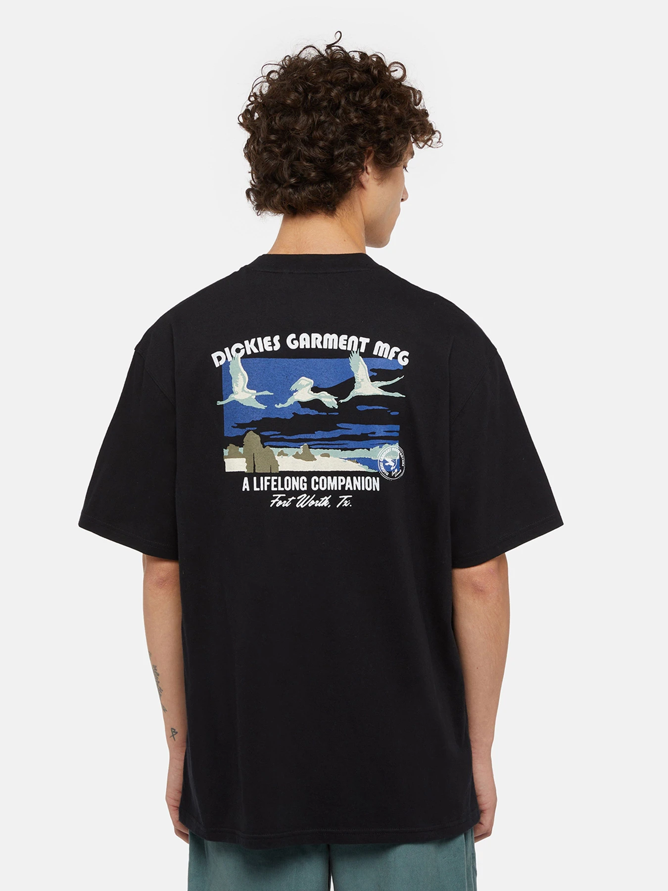 Футболки і поло Dickies Companion модель DK0A4Z3PBLK1 Футболки і поло Dickies Companion модель DK0A4Z3PBLK1 Фото